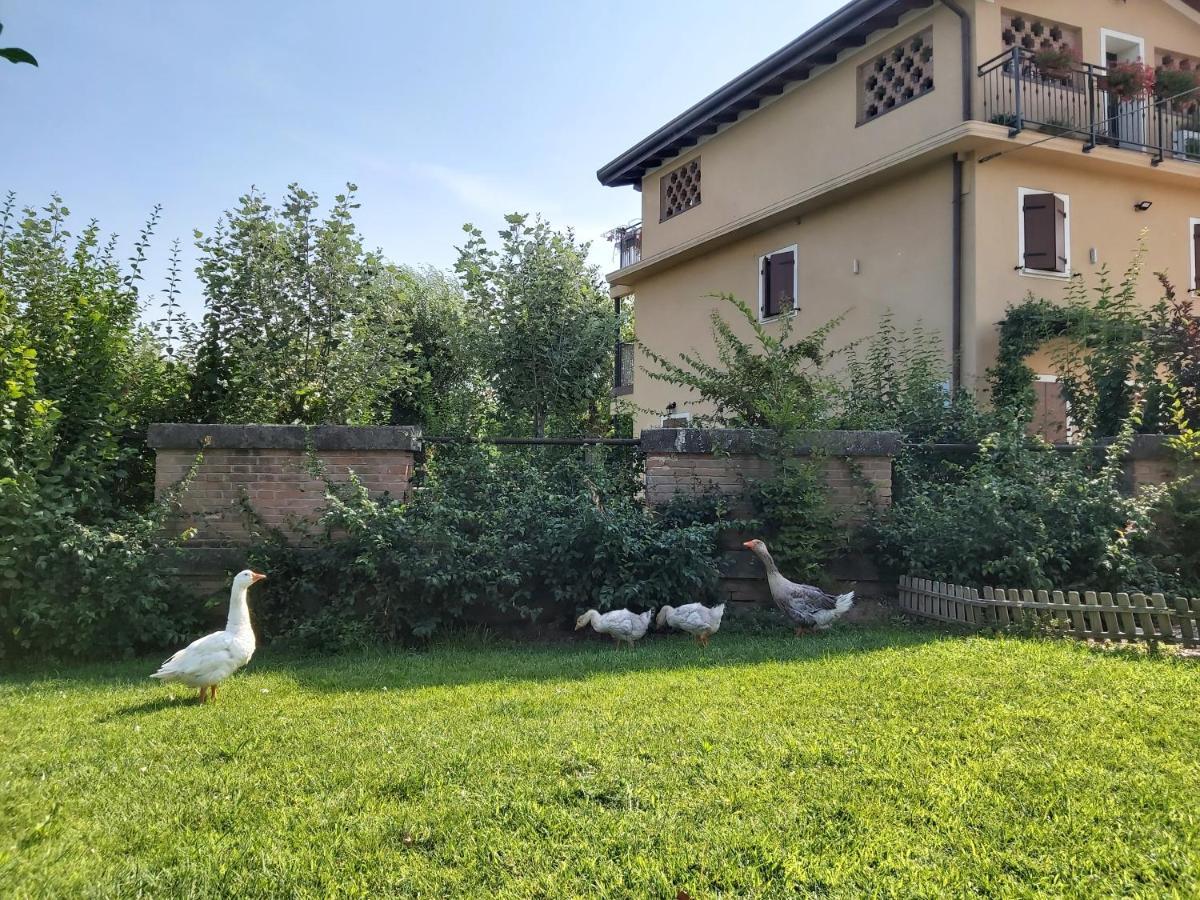 B&B La Casa Sul Fiume San Martino dall'Argine Exterior foto